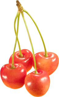 cherry png free download 8