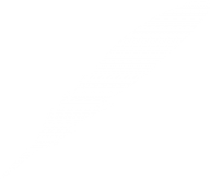 Clipart Feather Png Image