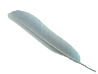 Clipart Feather PNg