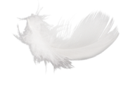 Cloud Like Feather Png