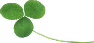 clover png free download 3