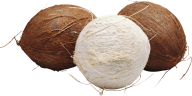 coconut png free download 1