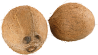 coconut png free download 10