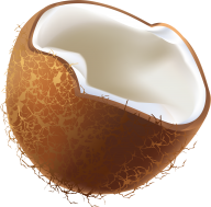 coconut png free download 12