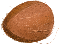 coconut png free download 15