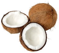 coconut png free download 17
