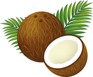 coconut png free download 19