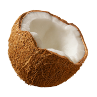 coconut png free download 25