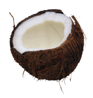 coconut png free download 28