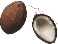 coconut png free download 3