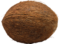 coconut png free download 4