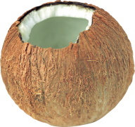 coconut png free download 5