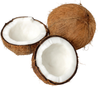 coconut png free download 6