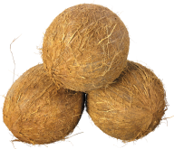 coconut png free download 9