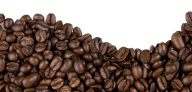 coffee beans png free download 11