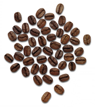 coffee beans png free download 13