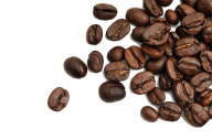 coffee beans png free download 18