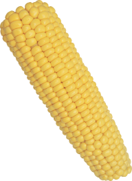 corn png free download 10