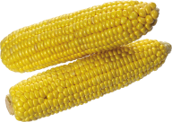 corn png free download 11