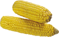 corn png free download 12