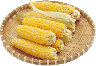 corn png free download 21