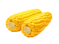 corn png free download 22