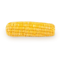 corn png free download 23