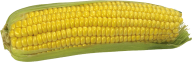 corn png free download 27