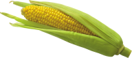 corn png free download 3