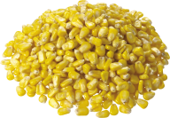 corn png free download 7