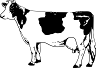 Cow Clipart Png