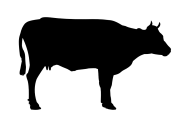 Cow Clipart