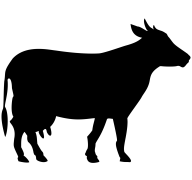 Cow Logo For Web