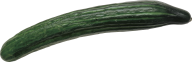 cucumber png free download 1