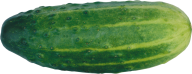 cucumber png free download 11