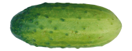 cucumber png free download 13