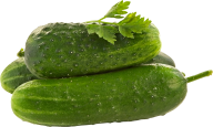 cucumber png free download 14