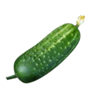 cucumber png free download 16