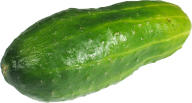 cucumber png free download 17