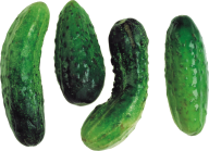 cucumber png free download 19