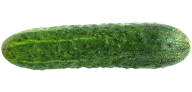cucumber png free download 2