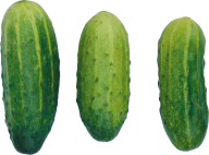 cucumber png free download 20