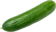 cucumber png free download 3