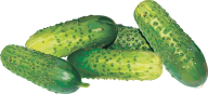 cucumber png free download 31