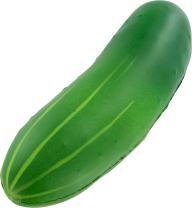 cucumber png free download 4