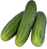 cucumber png free download 6