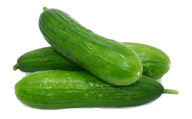 cucumber png free download 7