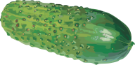 cucumber png free download 8