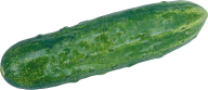 cucumber png free download 9