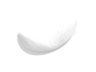 Curly Feather Png Download
